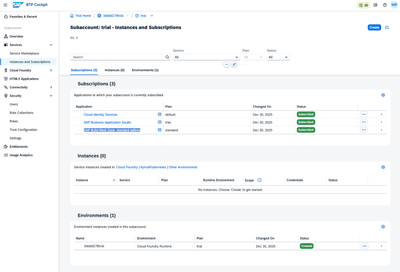 Subscriptions and instances in the trial subaccount before deployment