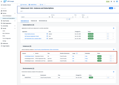 Instances created in the subaccount after deployment
